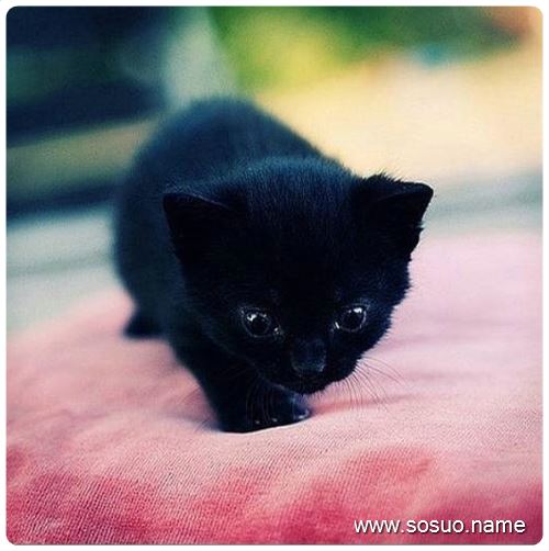 �μ��Լ������Ĺ�������,�����μ��Լ������Ĺ�������