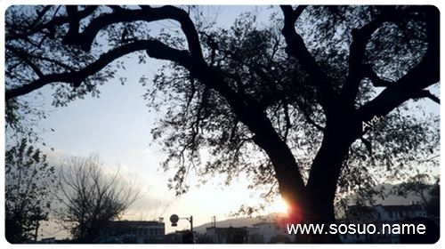 �μ�·�ϰڷſջ���,�����μ�·�ϰڷſջ���
