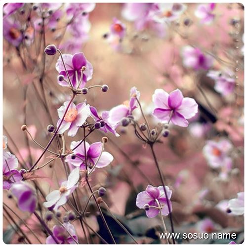 �μ���ܵ���,�����μ���ܵ���