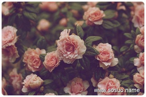 �μ��θ�,�����μ��θ�