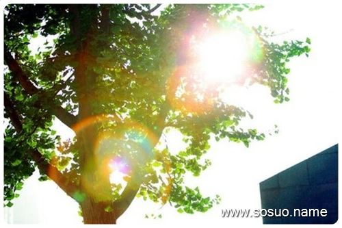 �μ����˳�����׽�ı�,�����μ����˳�����׽�ı�