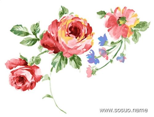 �μ���ҧ���ֳ�Ѫ��,�����μ���ҧ���ֳ�Ѫ��