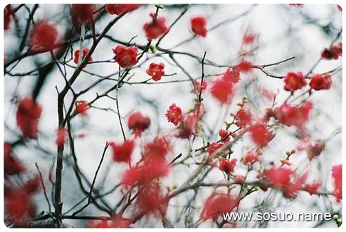 �μ��ٸ����Ŵ�,�����μ��ٸ����Ŵ�