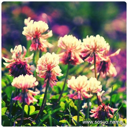 �μ��ص���ͯʱ��,�����μ��ص���ͯʱ��