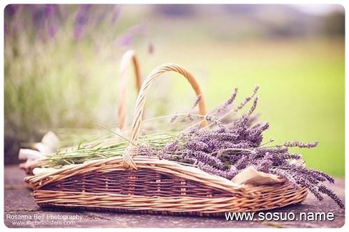 �μ���ȥ������˵Ҫ�ֱ�,�����μ���ȥ������˵Ҫ�ֱ�