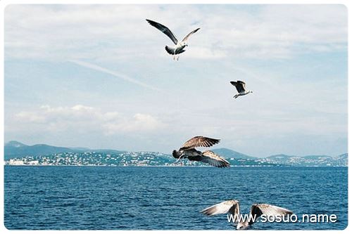 梦见穿了一双旧鞋鞋跟快掉了是什么意思?