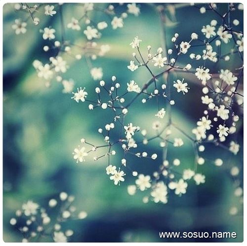 �μ��ں���ȵ����,�����μ��ں���ȵ����