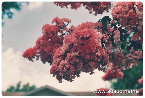 梦见自己穿的新鞋换别人的旧鞋意味着什么?