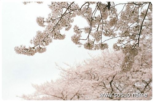 �μ�ɩ�Ӻ�Ц,�����μ�ɩ�Ӻ�Ц
