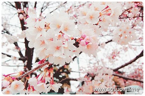 �μ��ڼҺ��˴��,�����μ��ڼҺ��˴��