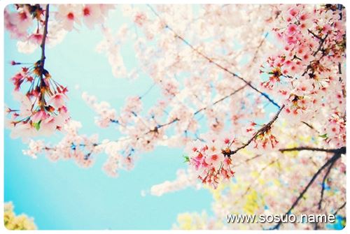 �μ��Լ����׺��Լ��������,�����μ��Լ����׺��Լ��������