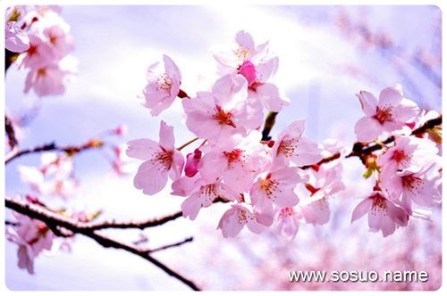 �μ����������Լ��ӳ�����,�����μ����������Լ��ӳ�����