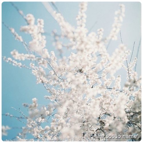 �μ����Լ���������ʬ��,�����μ����Լ���������ʬ��