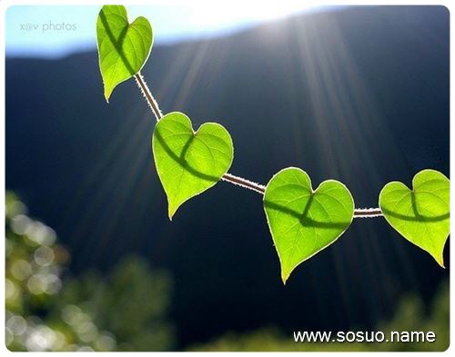 �μ��ѻ�Ů�Ӳ�����,�����μ��ѻ�Ů�Ӳ�����