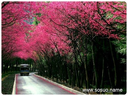 �μ����˱���׃Ů��,�����μ����˱���׃Ů��
