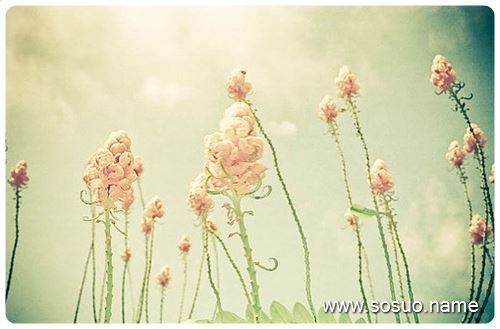 �μ�Ů�����Ӯ��,�����μ�Ů�����Ӯ��