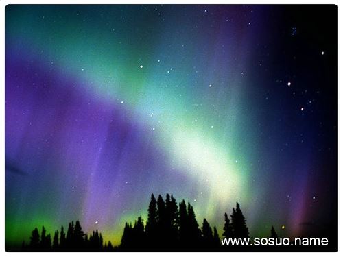 �μ����յ�һĨ����,�����μ����յ�һĨ����