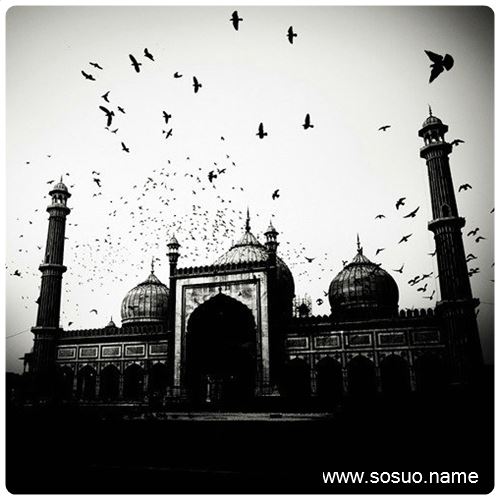�μ����˱���ܶ�����,�����μ����˱���ܶ�����
