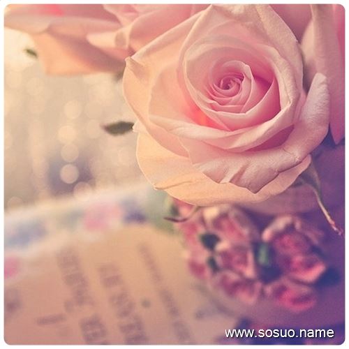 �μ����ղ�,�����μ����ղ�