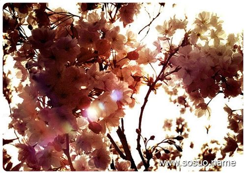 �μ�С���ӱ����Լ���æ�ܿ�,�����μ�С���ӱ����Լ���æ�ܿ�