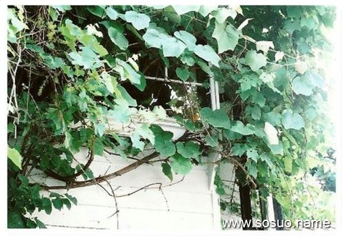 �μ��ھӰѳ����Ŷ�ס,�����μ��ھӰѳ����Ŷ�ס