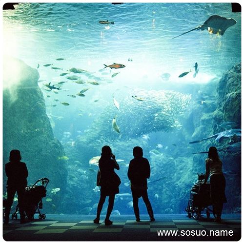 �μ�Ǯ�������������ͻ���,�����μ�Ǯ�������������ͻ���