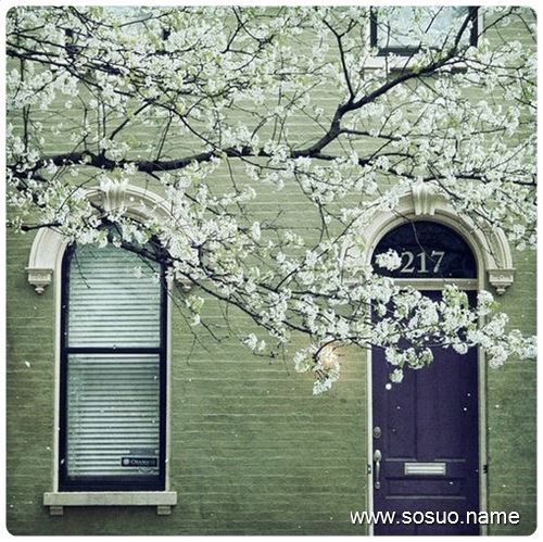 �μ��´�����ʪ������,�����μ��´�����ʪ������
