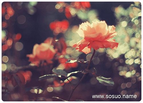�μ��Ұ����������,�����μ��Ұ����������