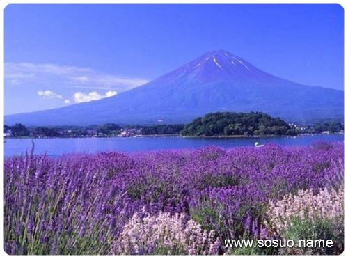 �μ��Լ��Ķ��Ӵ�Ӥ������˯��,�����μ��Լ��Ķ��Ӵ�Ӥ������˯��