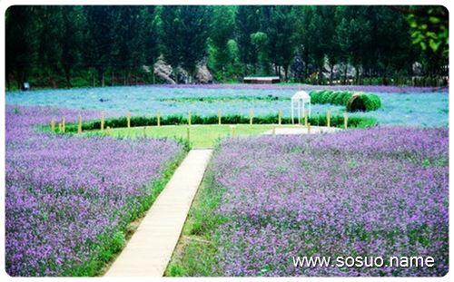 �μ���һ����С����,�����μ���һ����С����