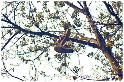 �μ��������Ƥ�ѿ�,�����μ��������Ƥ�ѿ�