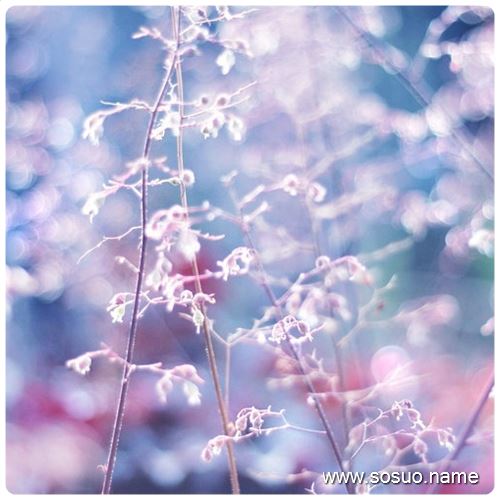 �μ������ϻ�,�����μ������ϻ�