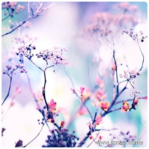 �μ�����Ҫ����,�����μ�����Ҫ����