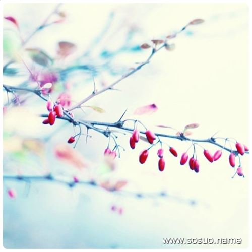 �μ���İ����˵�һ�����,�����μ���İ����˵�һ�����