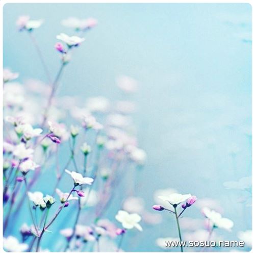 �μ����Ѳ���,�����μ����Ѳ���