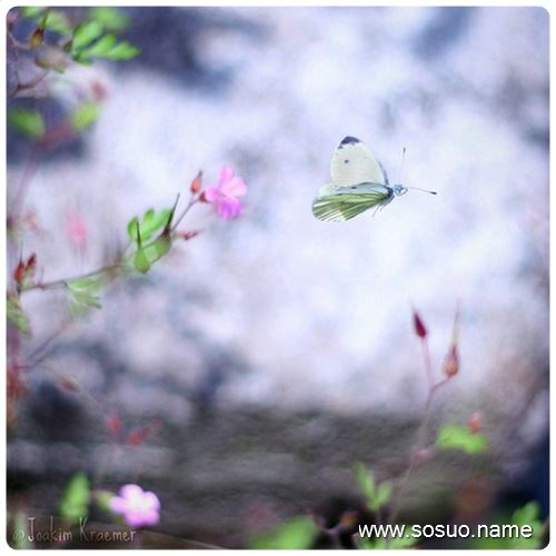�μ����ļ�������,�����μ����ļ�������