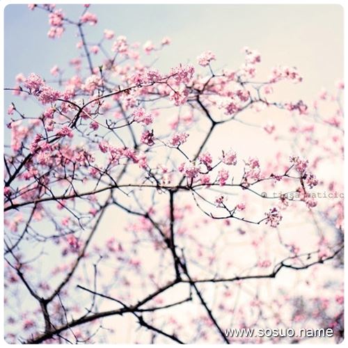 �μ��ܲ���,�����μ��ܲ���