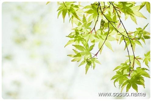 �μ����ܱ����,�����μ����ܱ����