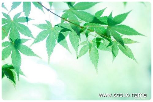 �μ���Ů�˹���,�����μ���Ů�˹���