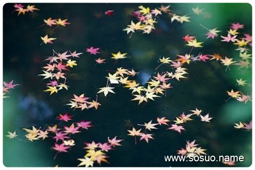 �μ����˼ҵĹ����Ҵ���,�����μ����˼ҵĹ����Ҵ���