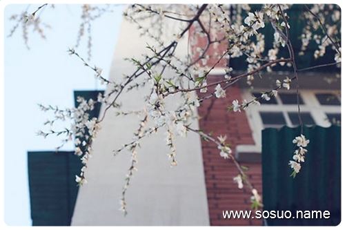 �μ����ڵ���,�����μ����ڵ���