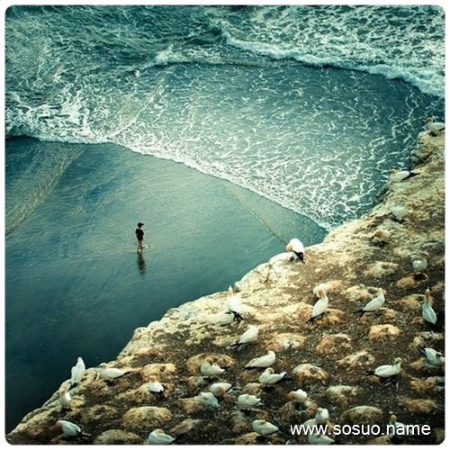 �μ�̩��Ů��������,�����μ�̩��Ů��������