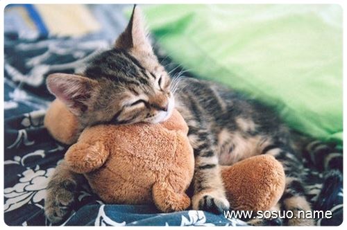 �μ���ȥ�ĵ�,�����μ���ȥ�ĵ�