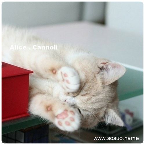 �μ����˵���ˮ��,�����μ����˵���ˮ��
