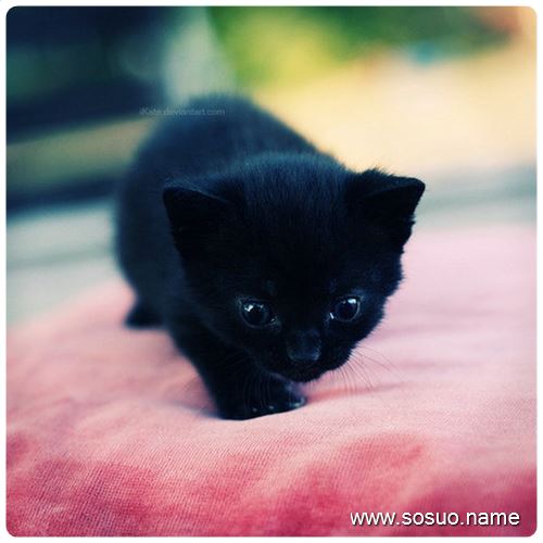 �μ�Ů������,�����μ�Ů������