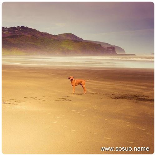 �μ��Լ������Ů�����뺣,�����μ��Լ������Ů�����뺣