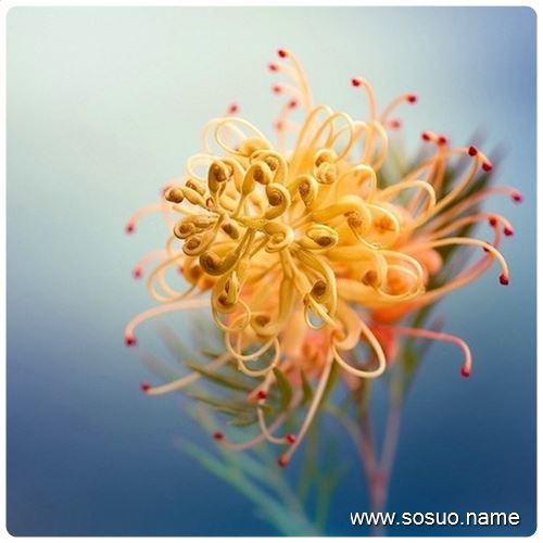 �μ��ý��뚚,�����μ��ý��뚚