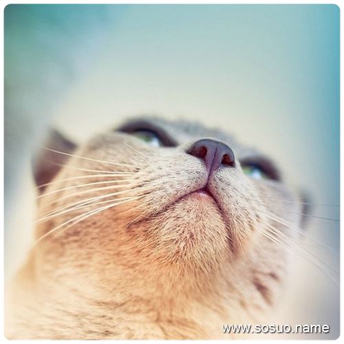 �и��μ��ε���,�����и��μ��ε���