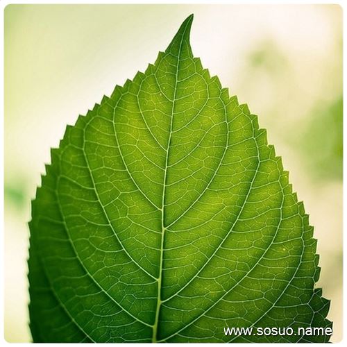 �μ����˸�û������к�,�����μ����˸�û������к�