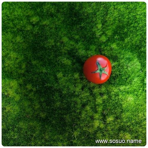 �μ��Լ����߲��Ϻ�ҧס,�����μ��Լ����߲��Ϻ�ҧס
